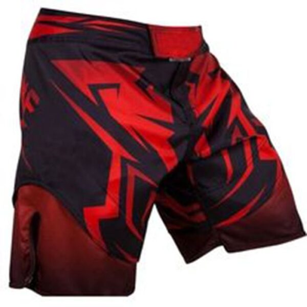 Fitness Shorts