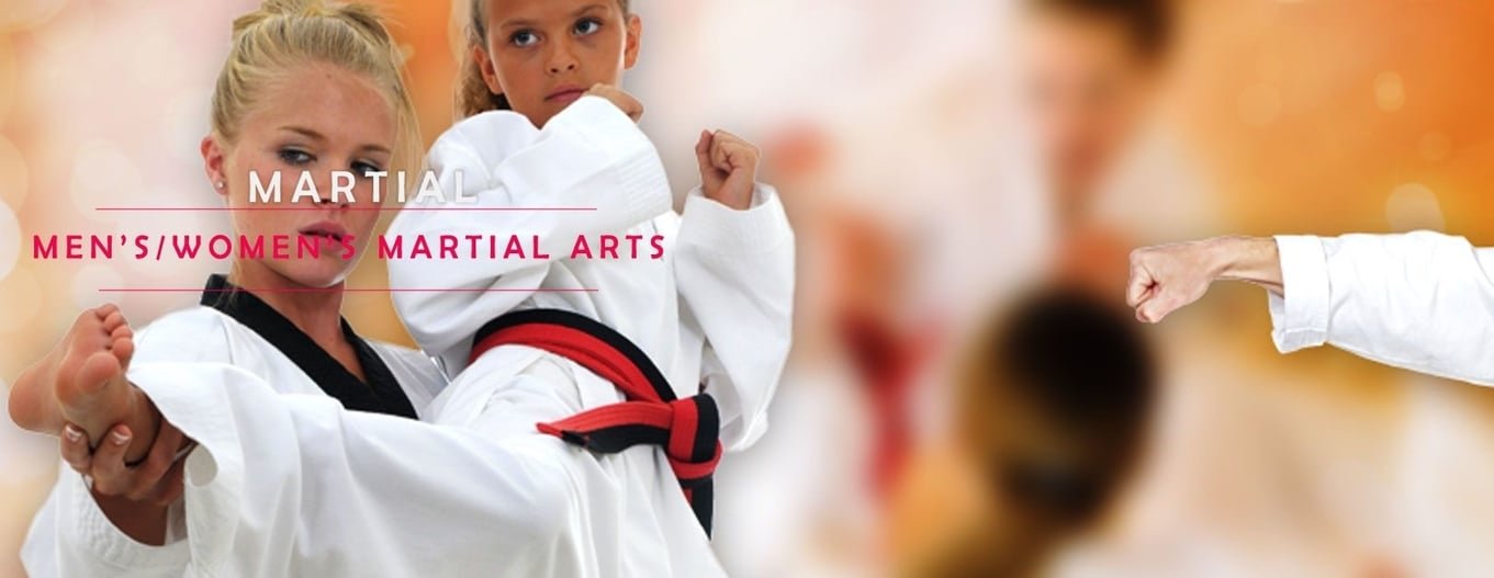 Martial Art banner-sportsoutlines